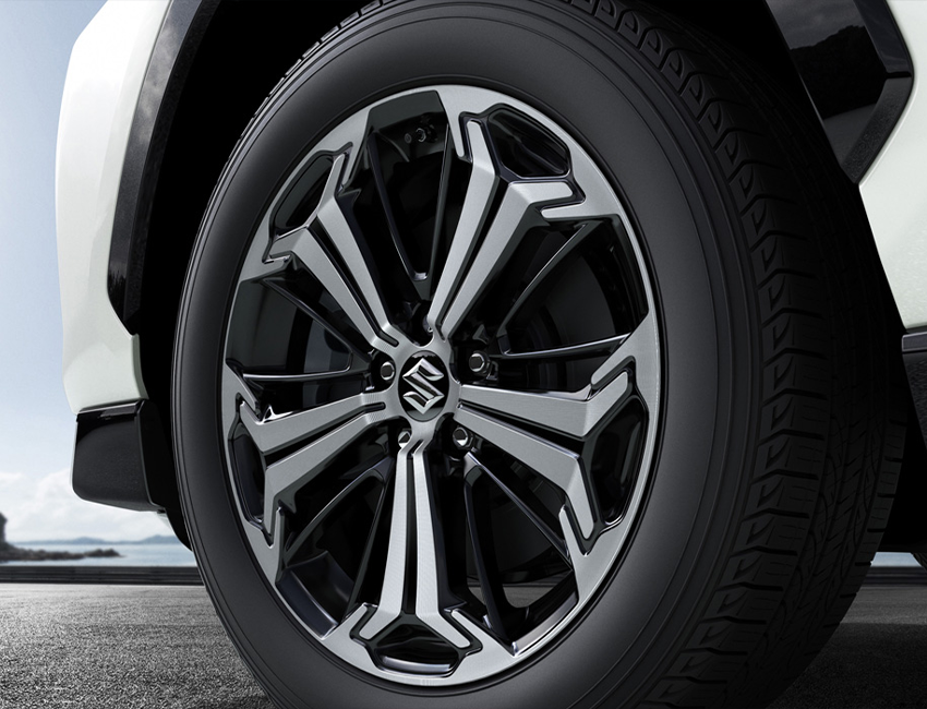 Amplitude-Auto-Suzuki-Across-Hybride-Rechargeable