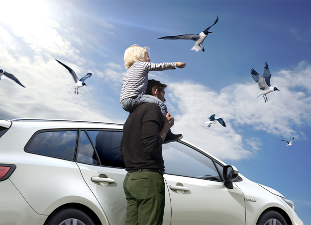 Amplitude-Auto-Suzuki-Swace-Hybrid